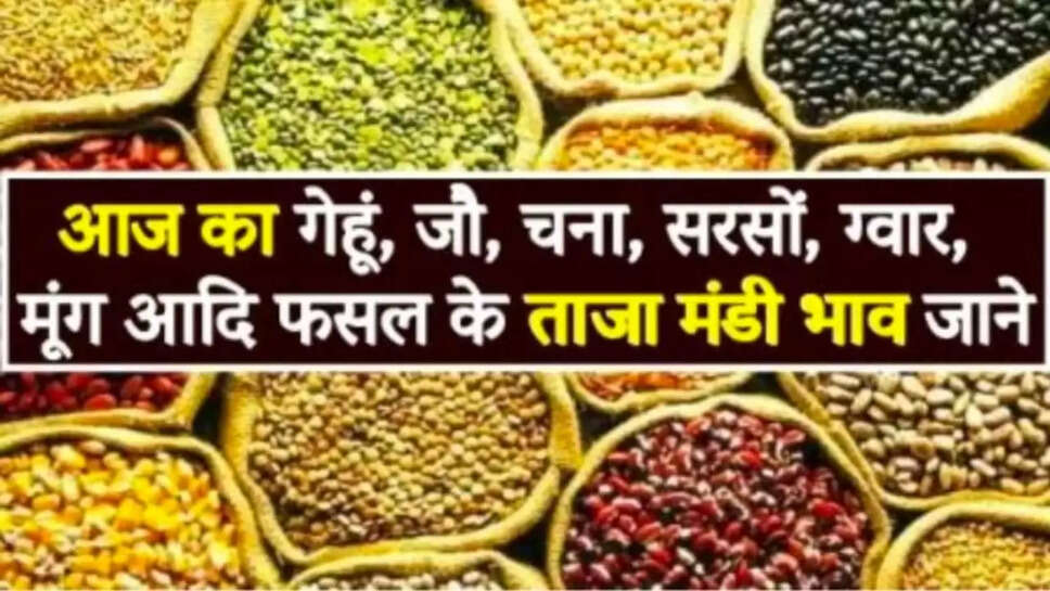 सोयाबीन, गेहूं, मक्का, जौ, उड़द, चना, सरसों, मेथी, जीरा, धनिया, लहसुन, प्याज सहित