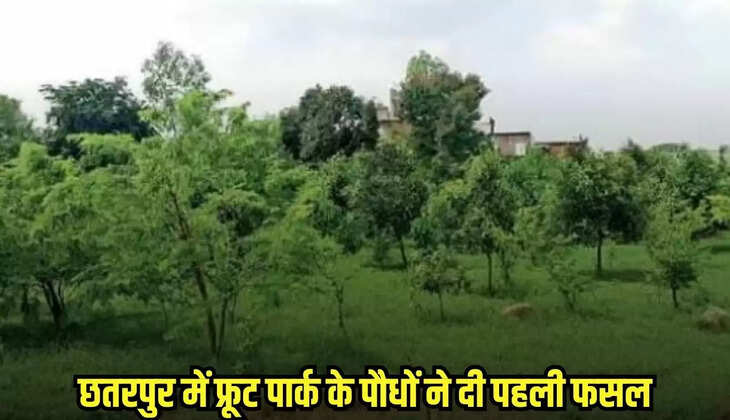 Chhatarpur news, MP news,