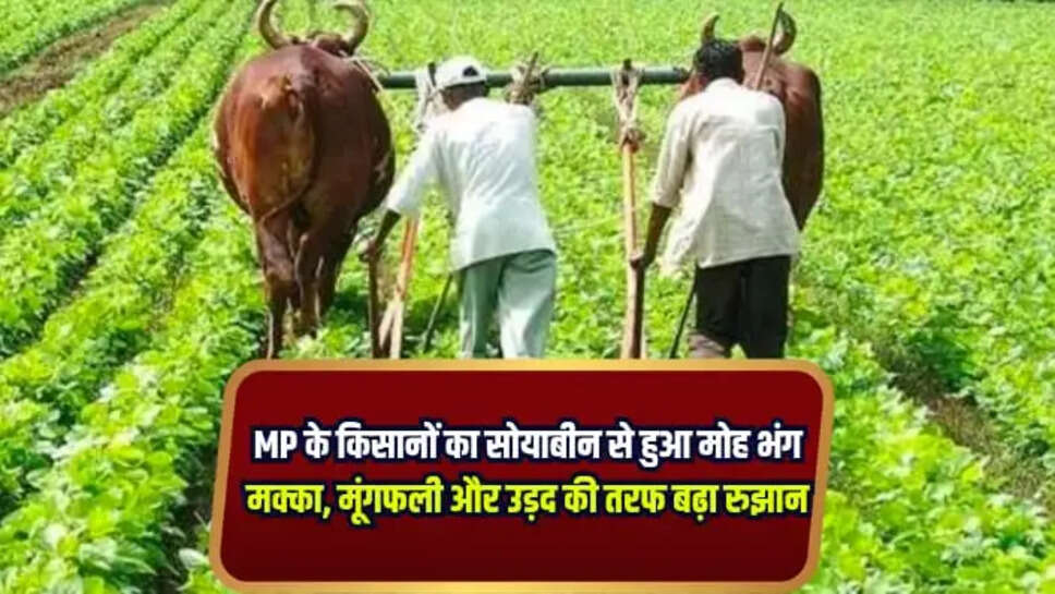 MP News