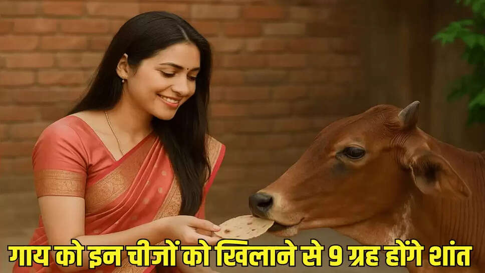 गाय को इन चीजों को खिलाने से 9 ग्रह होंगे शांत