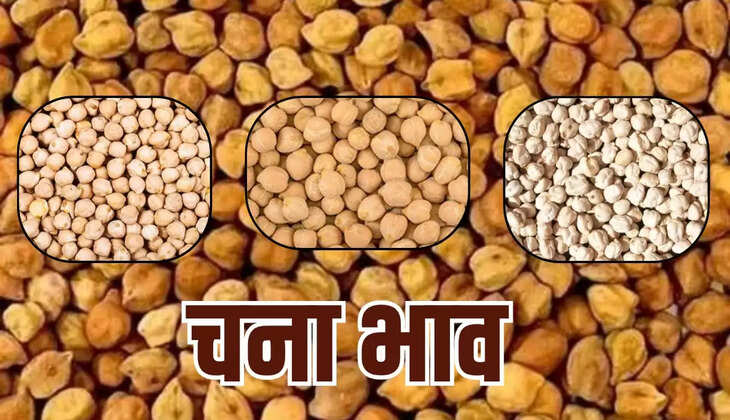  मंडी नीलामी के ताजा भाव