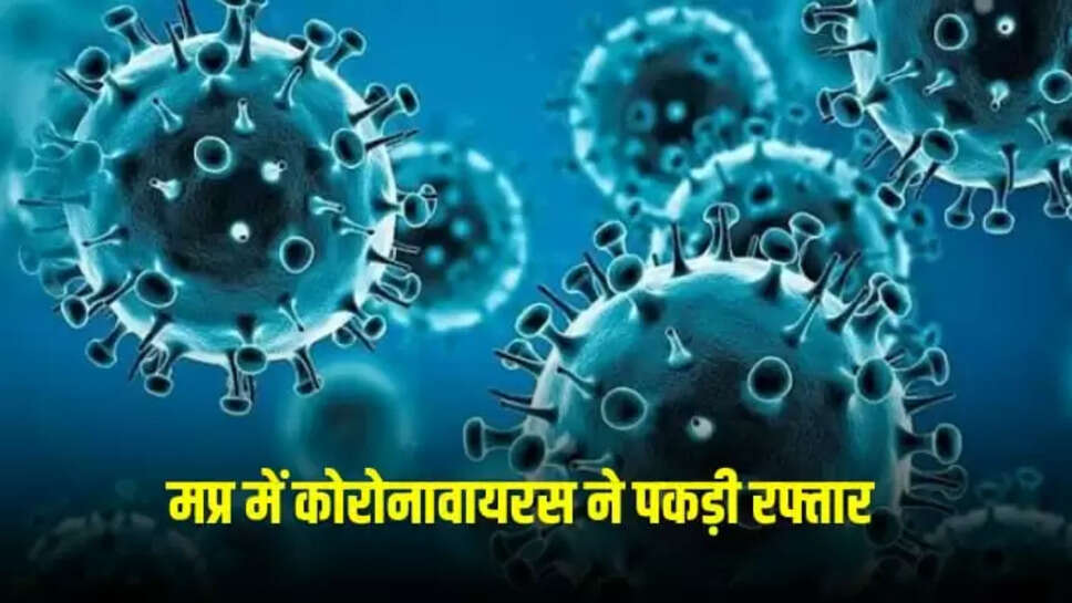  Corona virus