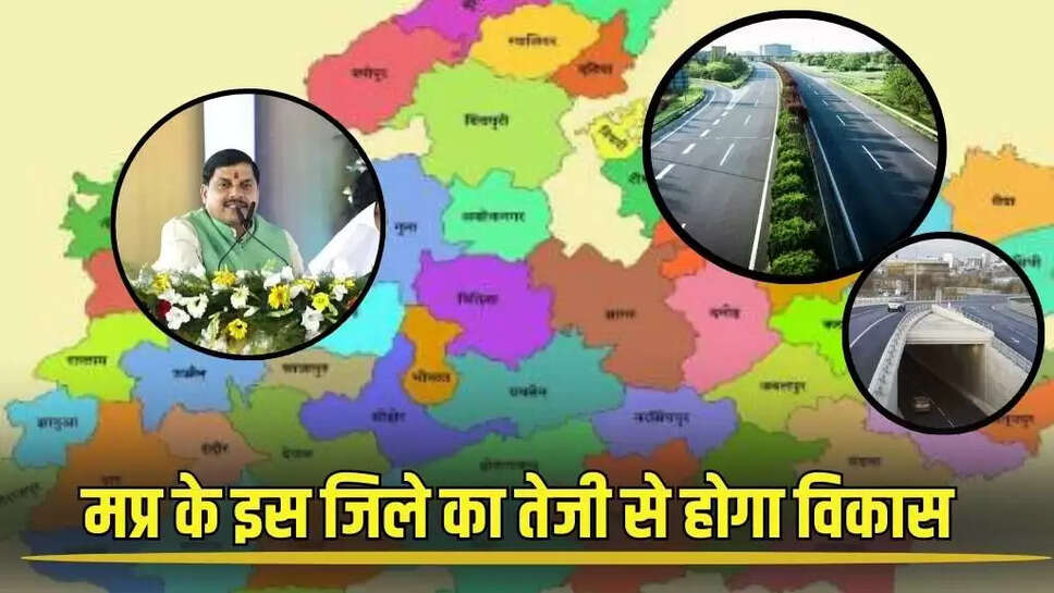 Mp news