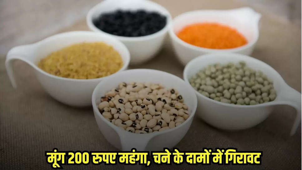 Bina News