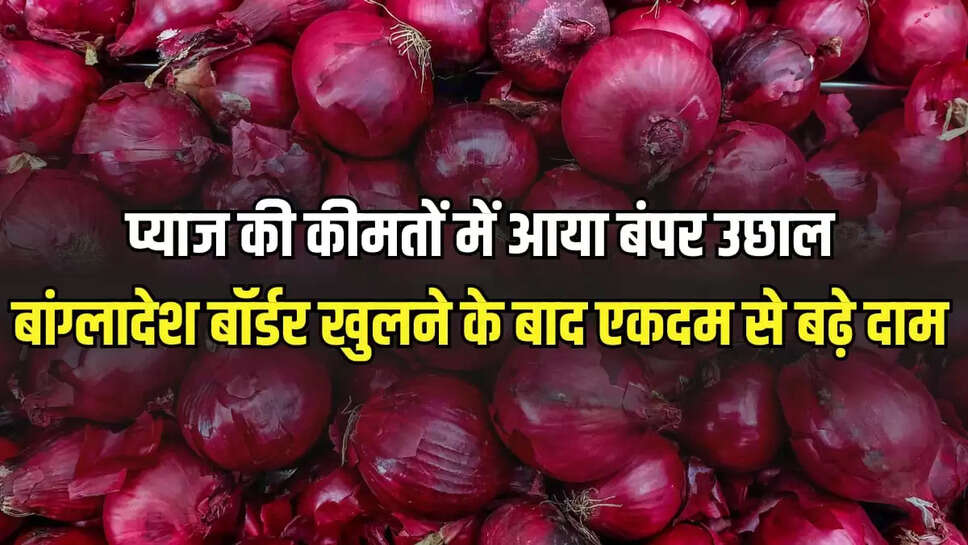 Onion Rate Update