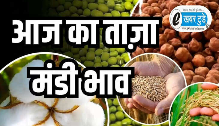 फसलों के मंडी भाव