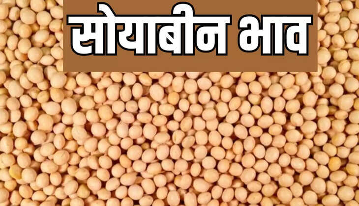 सोयाबीन के भाव 