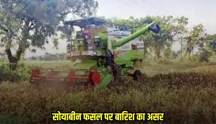 Badwani news, MP news,