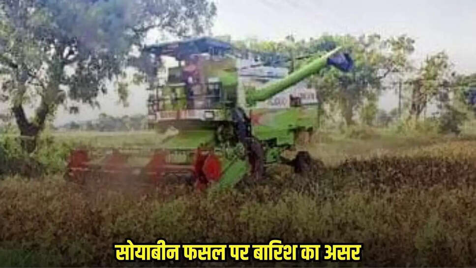 Badwani news, MP news,