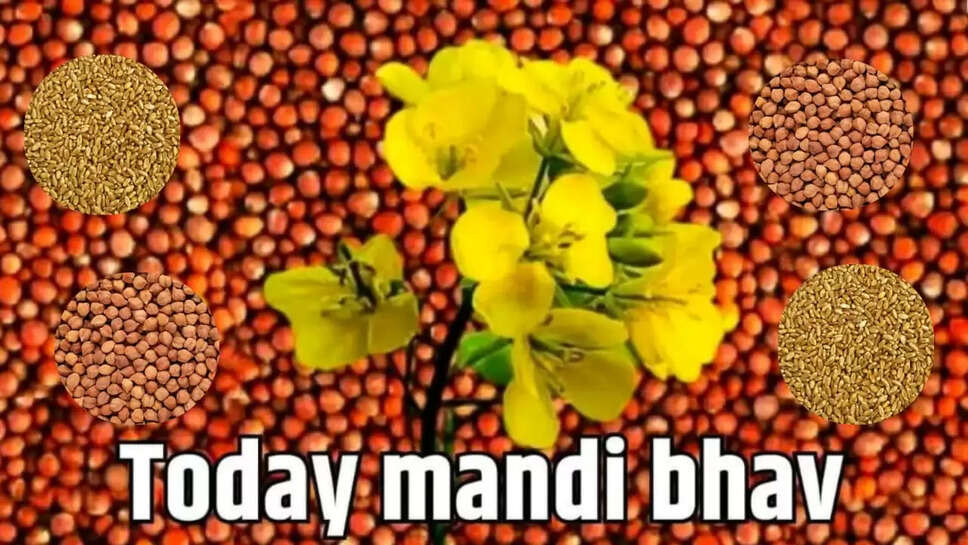 Today mandi bhav
