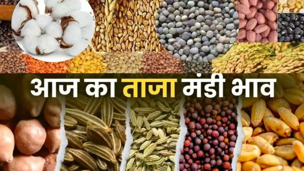 Today mandi bhav