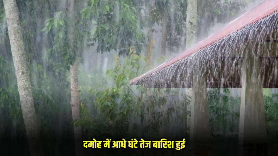 Damoh News