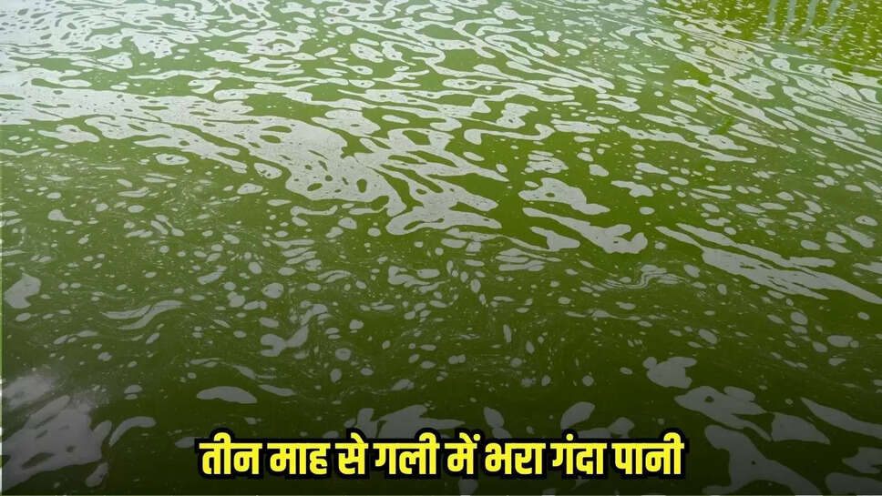 Damoh News