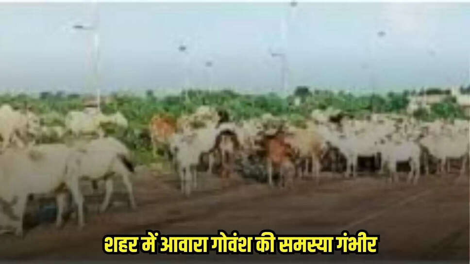 Chhatarpur news, MP news,