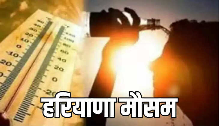 हरियाणा मौसम 