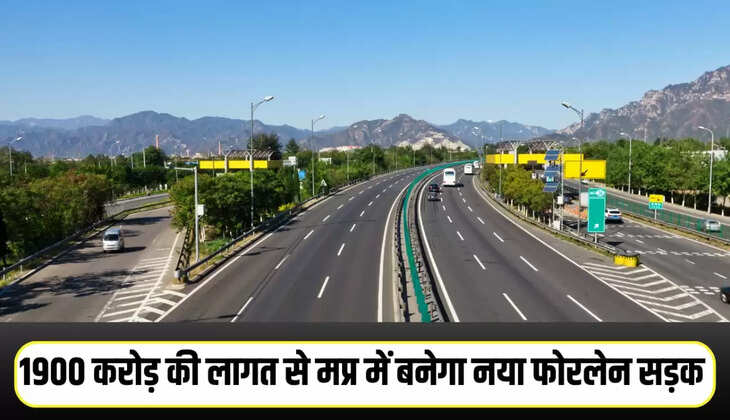 Mp news