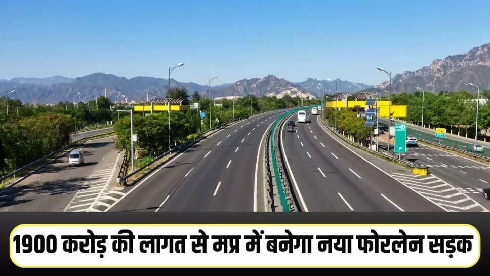 Mp news