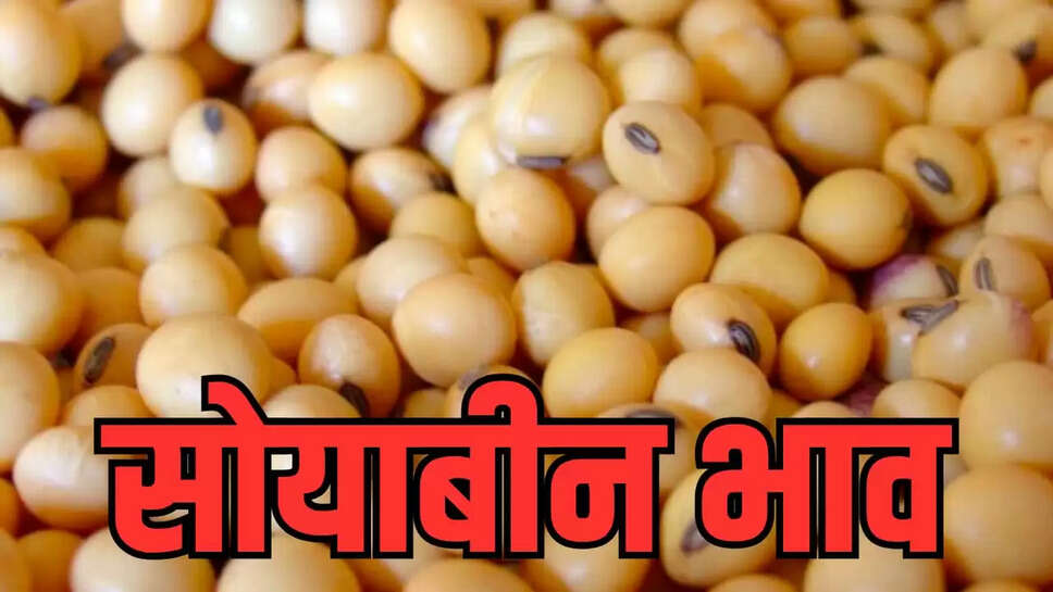 MP soybean price 