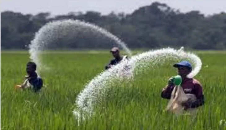 ऑनलाइन खाद की बिक्री