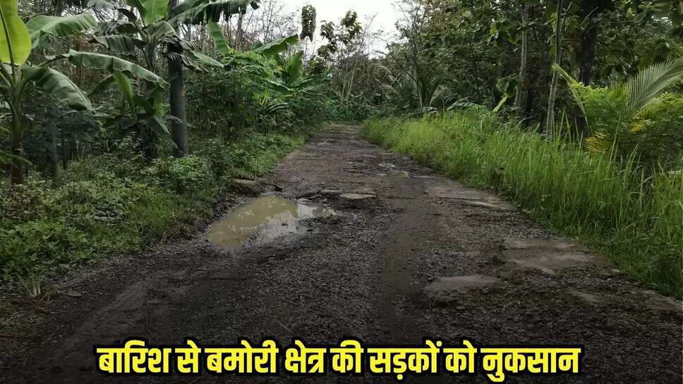 Shivpuri News