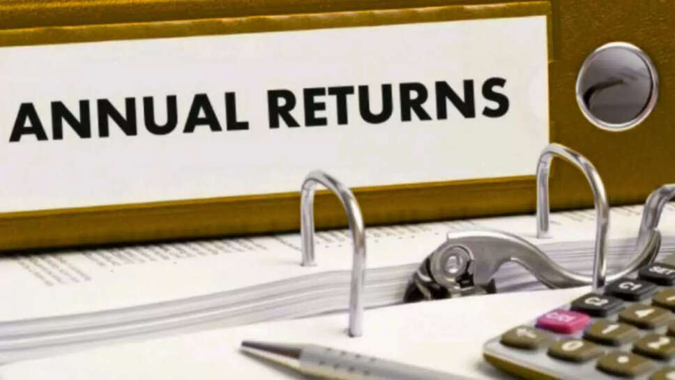  annual return
