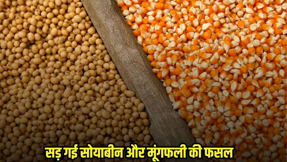Chhatarpur News