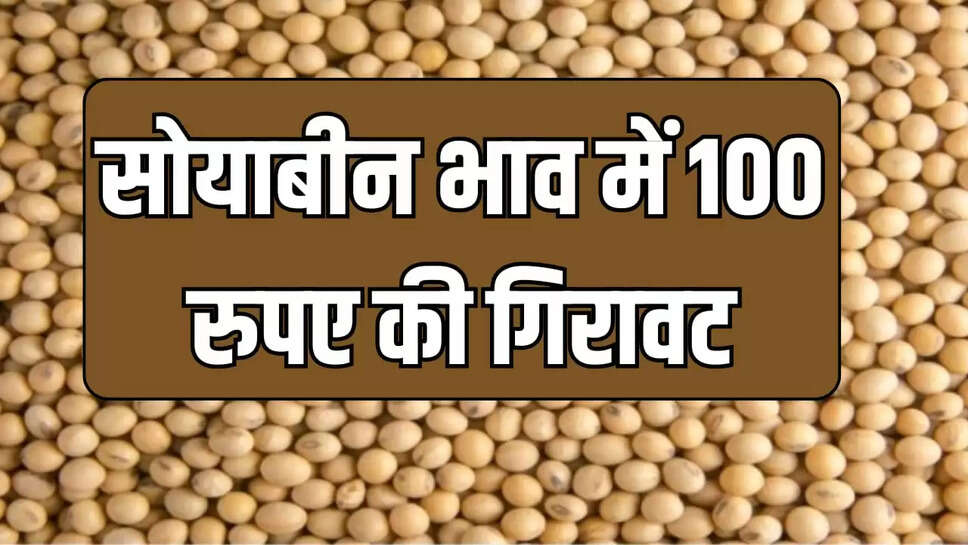 सोयाबीन