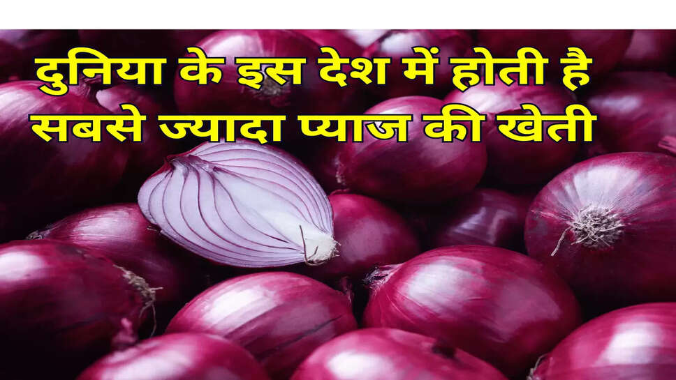 दुनिया के इस देश में होती है सबसे ज्यादा प्याज की खेती