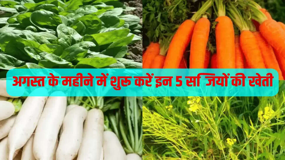 अगस्त के महीने में शुरू करें इन 5 सब्जियों की खेती