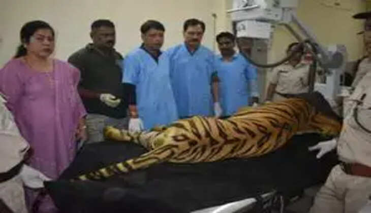 yuvraj