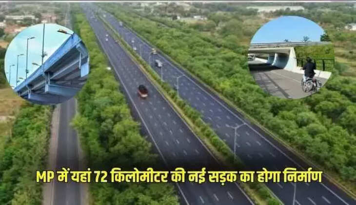 Mp news