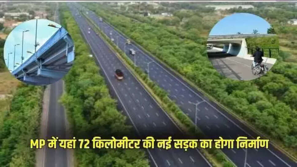 Mp news