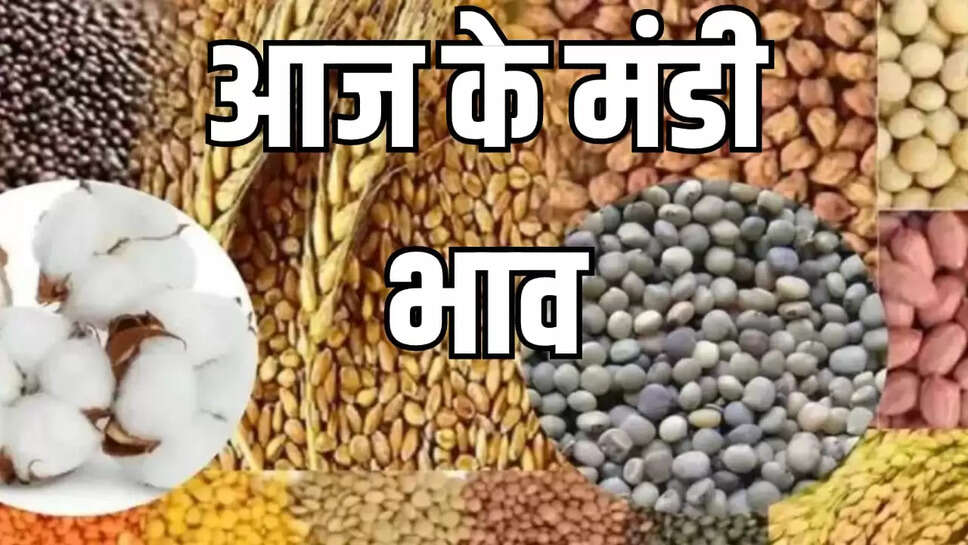 गेहूं ,चना, जौ, आलू,प्याज, लहसुन , मूंग ,मक्का, उड़द