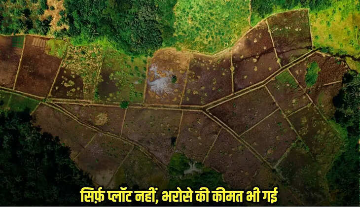 Burhanpur news, MP news