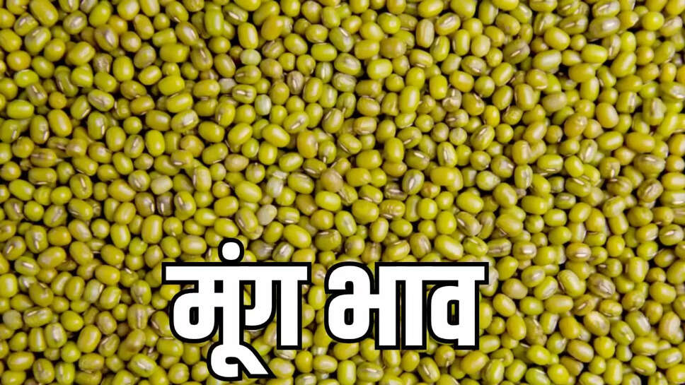 मूंग की सरकारी खरीदी