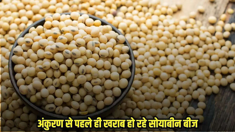 Mandsaur News