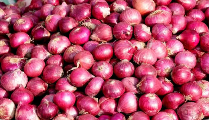 कृषि उपज मंडी स्थित प्याज मंडी