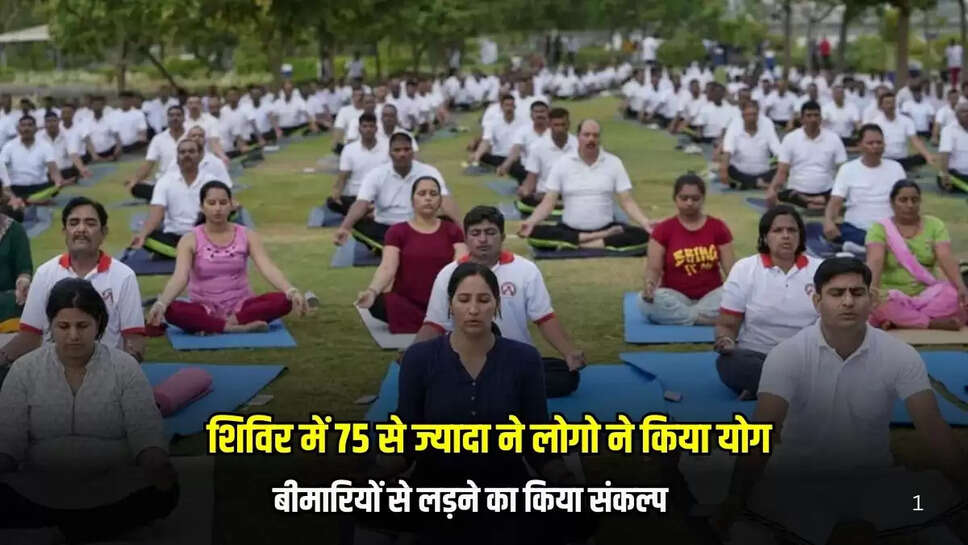 Mandsaur New