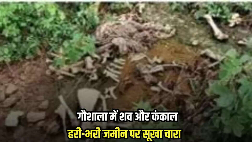 Mandsaur news, MP news,