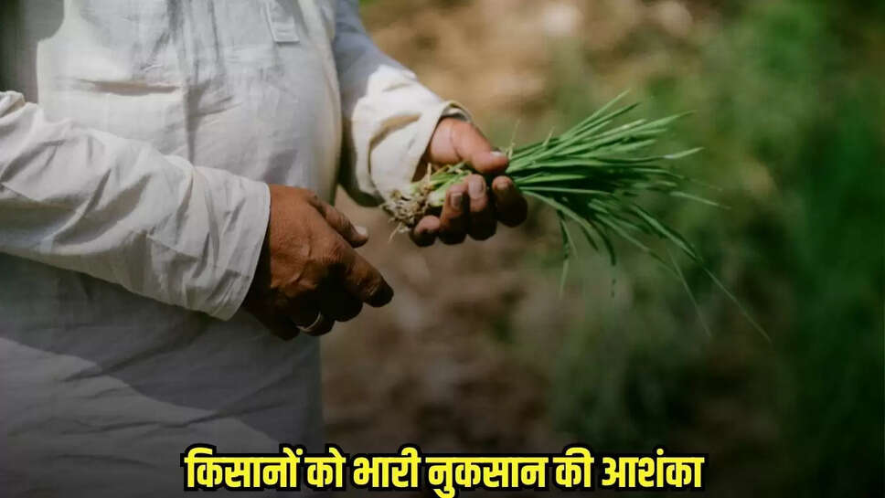 Mandsaur News