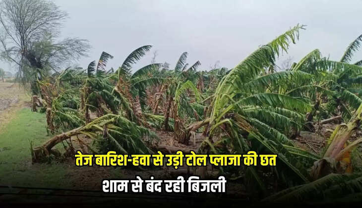Mandsaur News