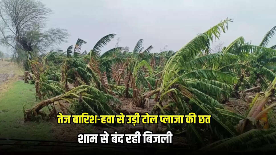 Mandsaur News
