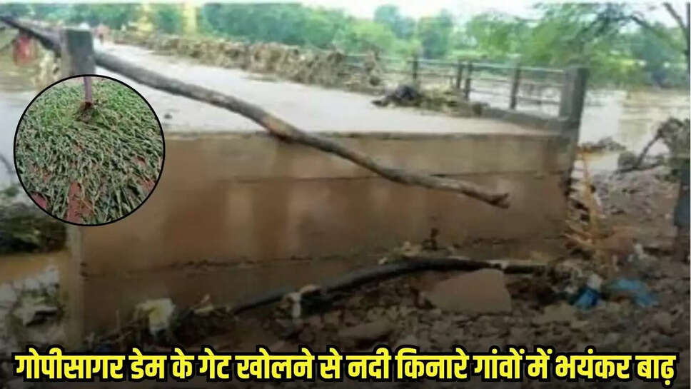 Guna news, MP news,