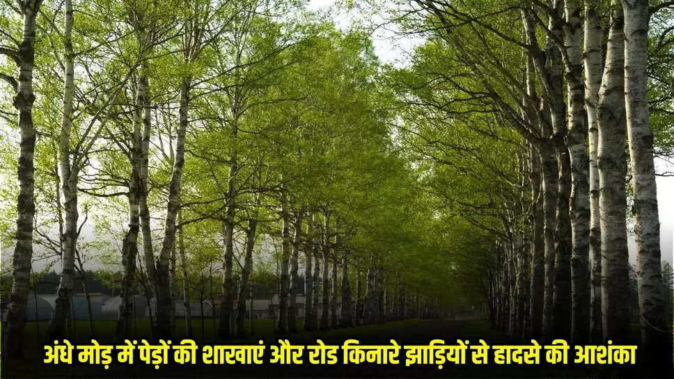Burhanpur News