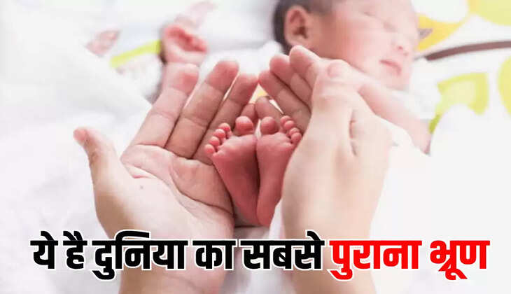 &nbsp;ये है दुनिया का सबसे पुराना भ्रूण