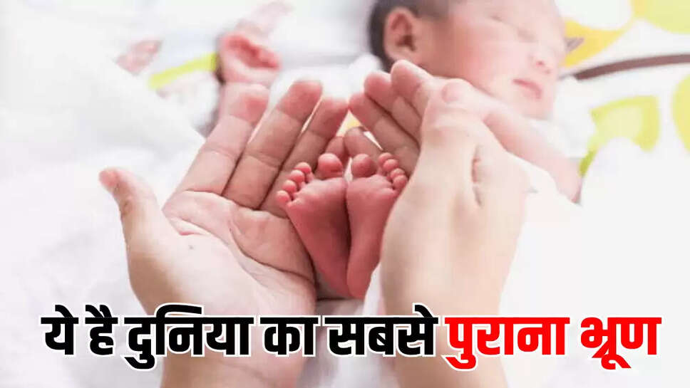  ये है दुनिया का सबसे पुराना भ्रूण