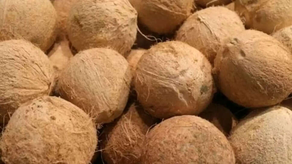 coconut prices 