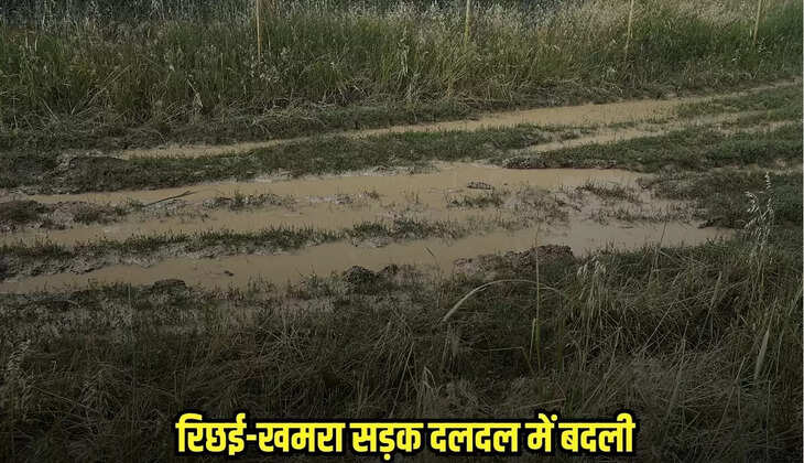 Bina News