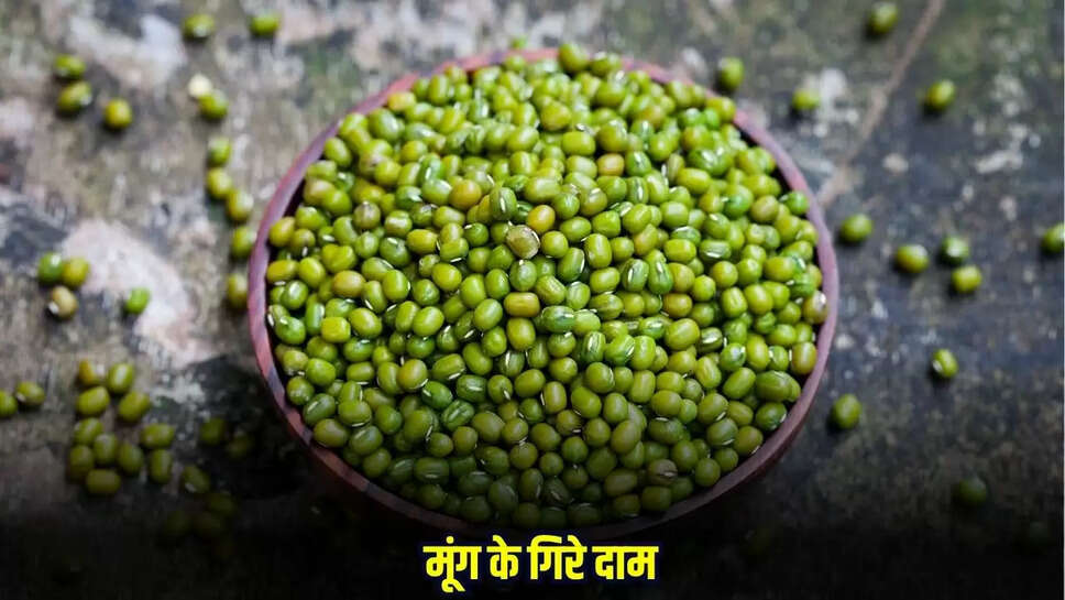 Guna News