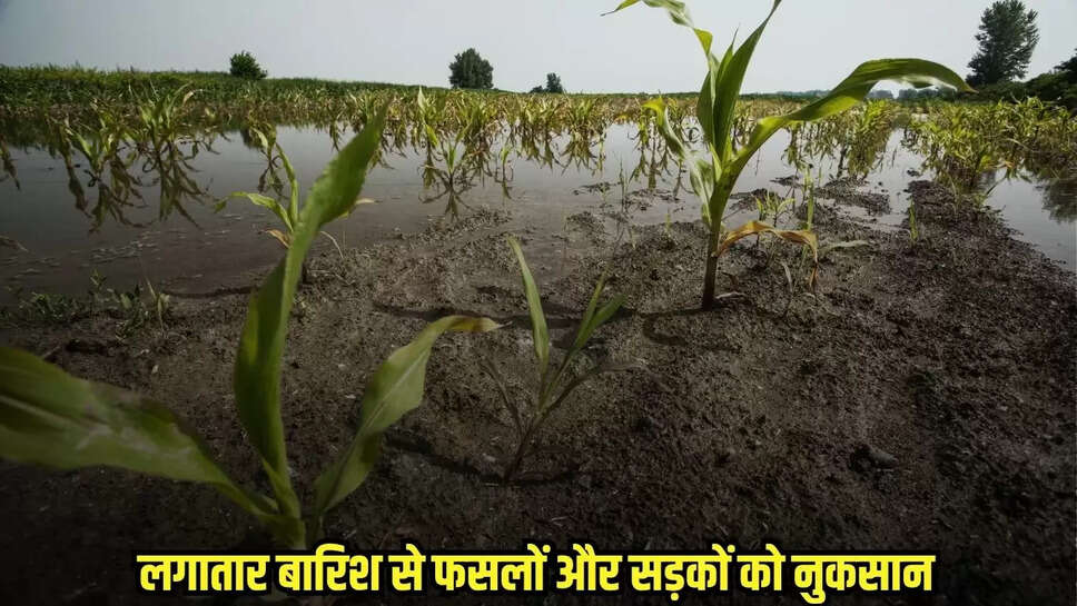 Chhatarpur News